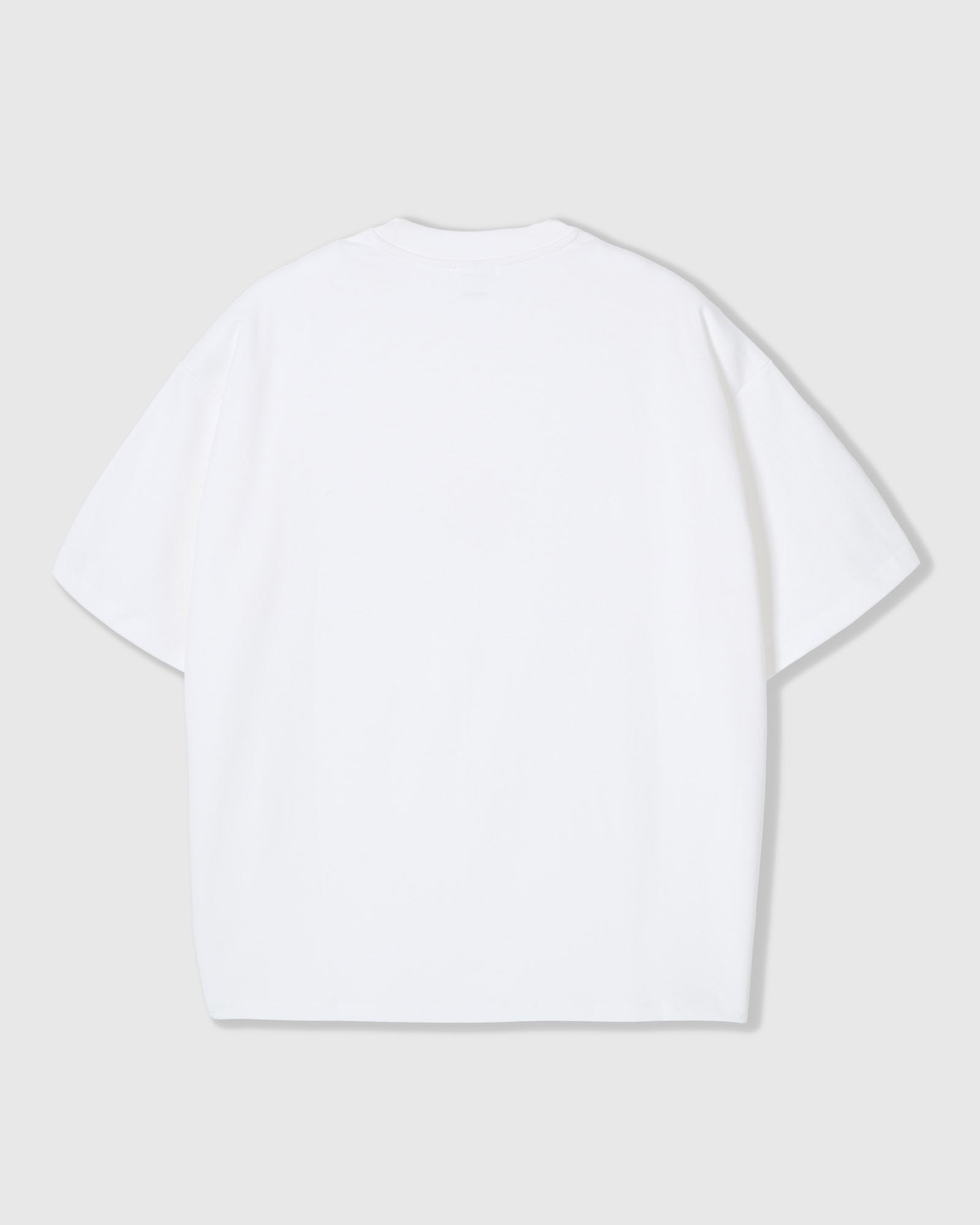 Camiseta Oversized Dachshund Trio