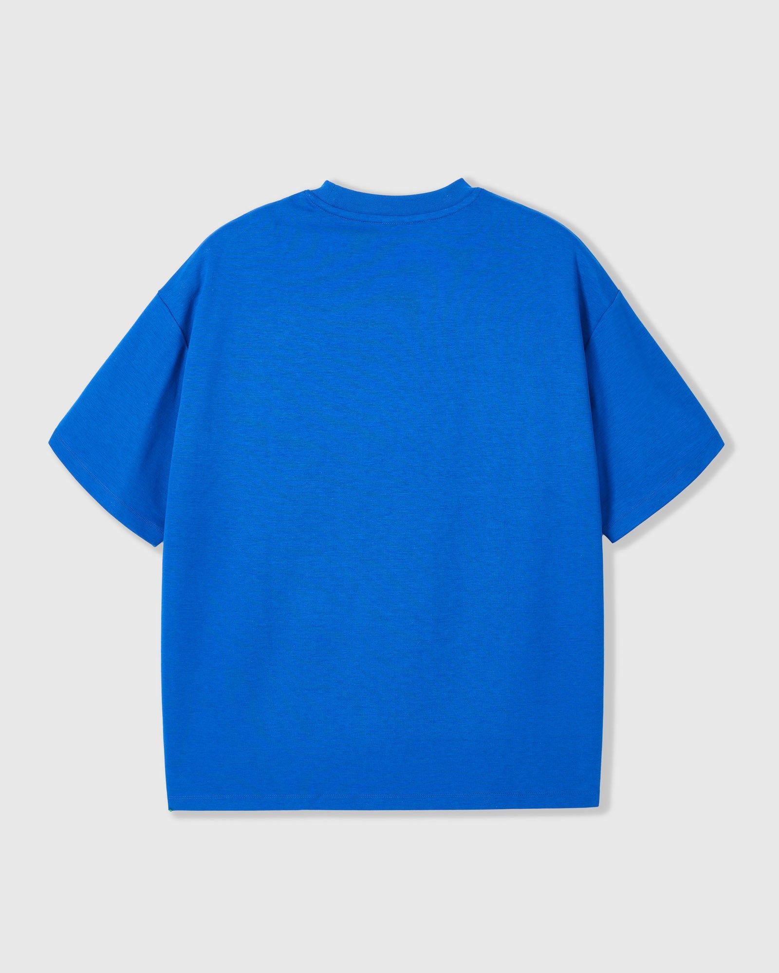 Camiseta Oversized Dachshund Trio